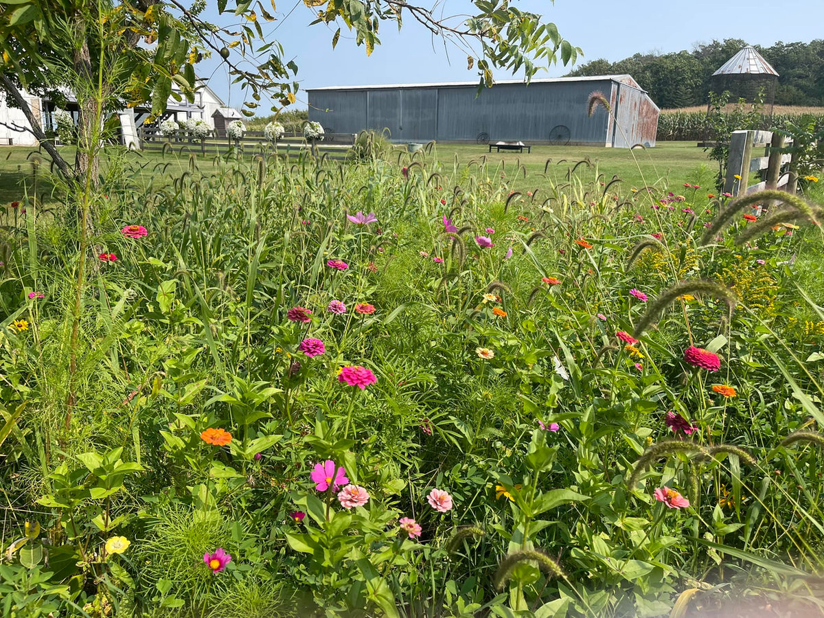 Wildflower garden near the ceremony area at Huser Farm, a rustic Wisconsin wedding barn and outdoor venue